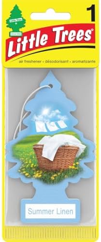 LITTLE TREES 076171673473 Daisy Fields Hanging Paper Tree for Home or Car, 6 Pack