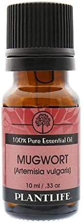 Plantlife Mugwort Aromatherapy Essential Oil - Straight from The Plant 100% Pure Therapeutic Grade - No Additives or Fillers - 10 ml