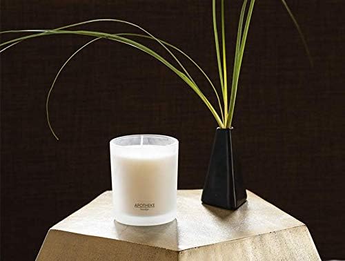 Apotheke Signature Scented Candles for Home, Santal Rock Rose - 10.5 oz - Soy Wax, Non Toxic, Large Jar White - Luxury Candle Gifts for Women & Men - Sandalwood, Rose, Musk, and Leather