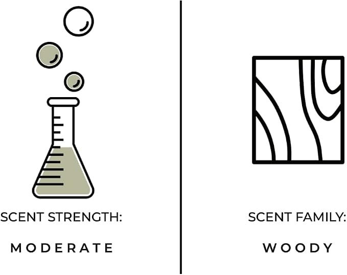 Luxury Reed Diffuser| True Hue | Luxury Reed Diffuser | 3.75 fl oz | Glass and Rattan | Lasts for 2-3 Months | Fragrance Diffusers for Home | Handmade in USA (Palo Santo)