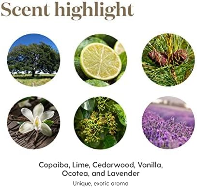 Young Living Stress Away Essential Oil Blend | 5 ml | Sweet Lime & Vanilla Aromatherapy Oil for Diffusers, Massage & DIY Blends | Relaxing Fragrance for Home, Office & Everyday Aromatic Use