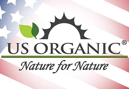 US Organic 100% Pure Clove Stem Essential Oil - USDA Certified Organic, Steam Distilled (30 ml)