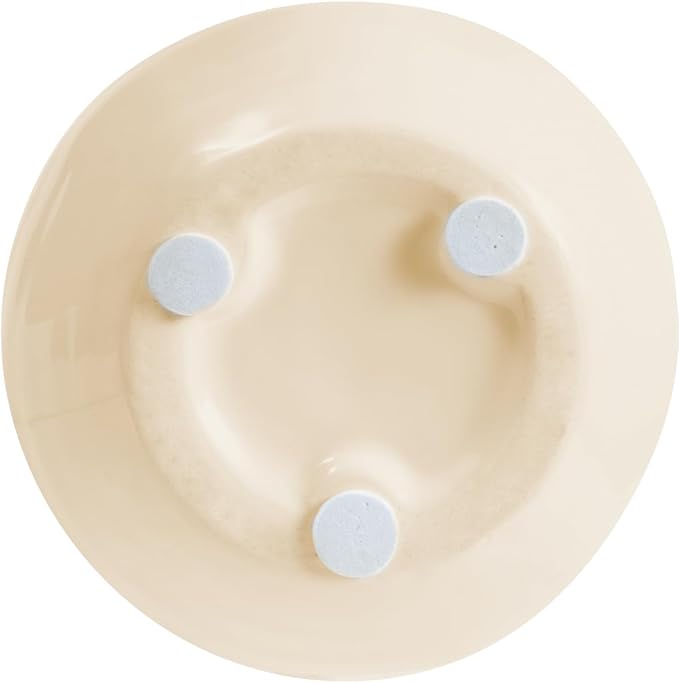Dandelion Wishes 77150 Ceramic Candles Teachers Inspire Growing Minds Ceramic Soy Candle