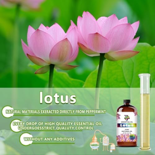 Lotus Essential Oil, Lotus Oils, for Diffuser, Meditation, Yoga, Massage, Humidifier, DIY Candles, Soap, Home, Office, Gift, Essential Oil, GV77ZF Lotus Fragrance Oil - 16 fl oz (480 ml)