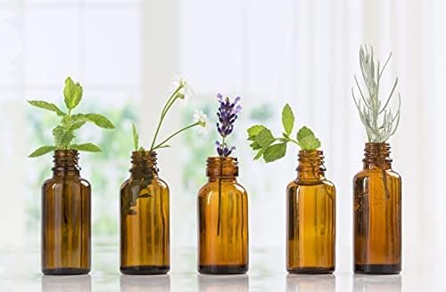 Maple - 100% Pure Aromatherapy Grade by Nature's Note Organics - 0.3 Fl Oz