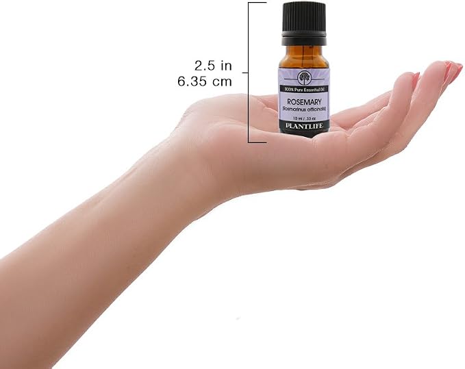 Plantlife Rosemary Aromatherapy Essential Oil - Straight from The Plant 100% Pure Therapeutic Grade - No Additives or Fillers - 10 ml