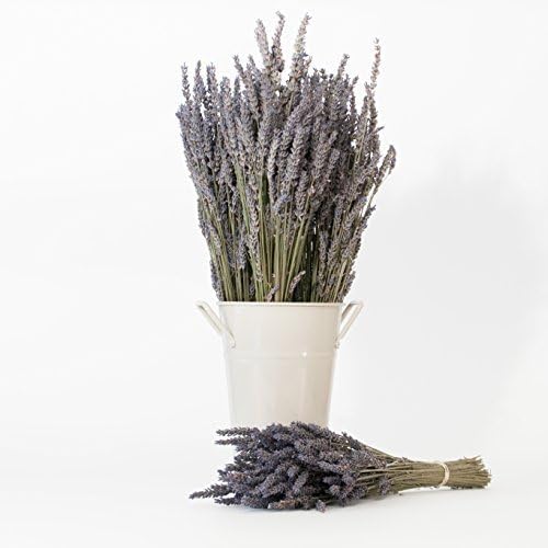 Victoria's Lavender Linen Spray - Aromatherapy Pillow Mist & Linen Spray, Soothing Lavender Essential Oil for Bed & Pillow Comfort, Ideal Holiday Gift, Handmade in Oregon, Made in USA (8 oz + 2 oz)