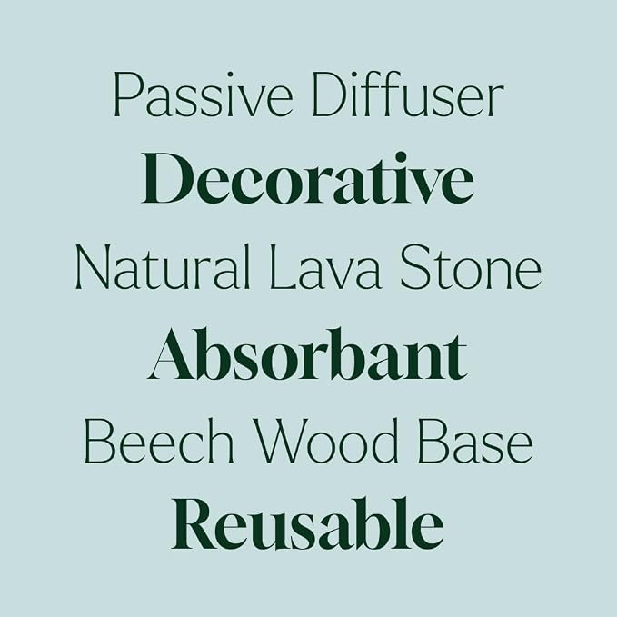 Plant Therapy Lava Rock Passive Diffuser for Essential Oils Great for Decorating at Home, Office or Car, and Gift-Giving