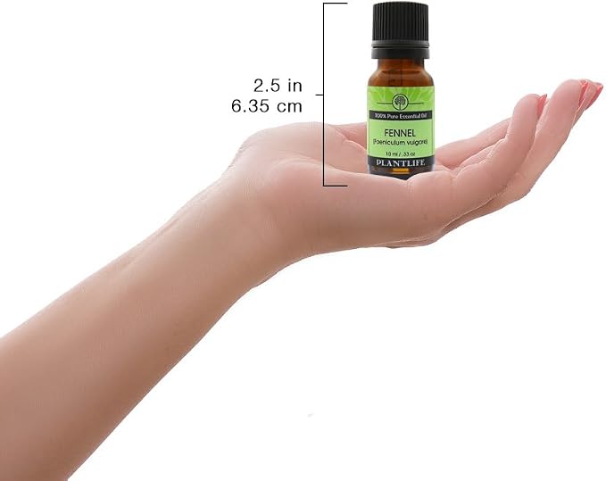 Plantlife Fennel Aromatherapy Essential Oil - Straight from The Plant 100% Pure Therapeutic Grade - No Additives or Fillers - 10 ml