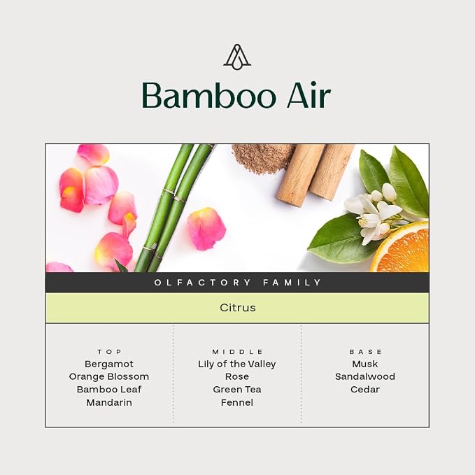 AromaPlan Hotel Scents Bamboo Air 5 Fl Oz (148ml), Home Luxury Aroma & Hotel Fragrance Diffuser Oil- Hotel Diffuser Oil for Aromatherapy- USA Made, Bigger Bottle, Bolder Aroma & Longer Lasting