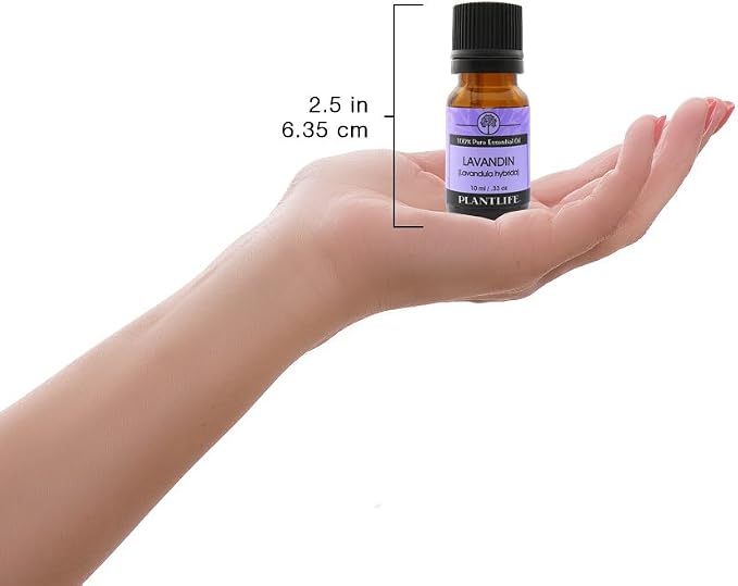 Plantlife Lavandin Aromatherapy Essential Oil - Straight from The Plant 100% Pure Therapeutic Grade - No Additives or Fillers - 10 ml