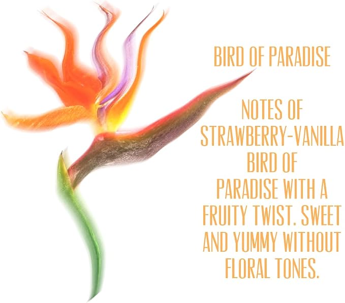 Bird of Paradise Fragrance from Our Beach Collection - Perfect for Adding Aroma to Freshies, Candles, Soaps, and Diffusers - 8 Ounces