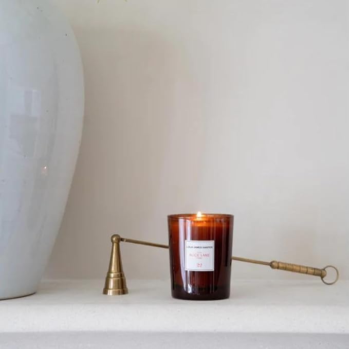 Alice Lane Antique Brass Candle Snuffer Home Collection – Refined Elegance with Elongated Thin Handle – Candle Wick Accessory – Flame Extinguisher