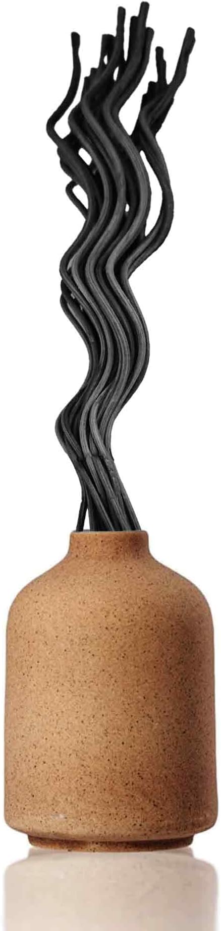 20PCS 11 inch Wavy Reed Diffuser Sticks, Rattan Fragrance Refill Sticks for Home and Office Aromatherapy (Black)