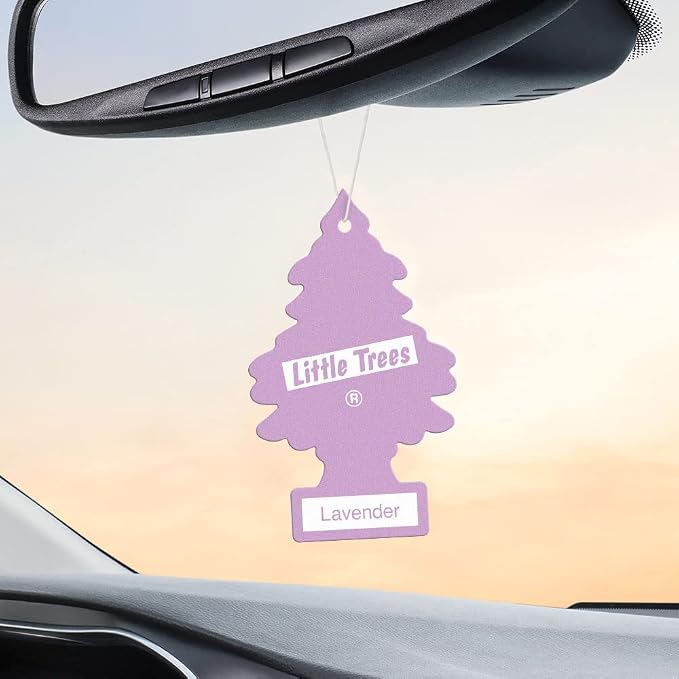 LITTLE TREES Air Fresheners Car Air Freshener. Hanging Tree Provides Long Lasting Scent for Auto or Home. Lavender, 24 Airs Fresheners (Pack of 6)