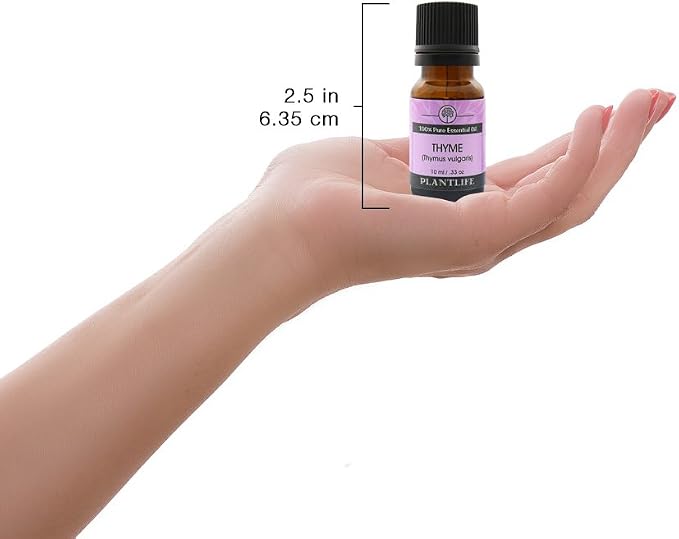 Plantlife Thyme Aromatherapy Essential Oil - Straight from The Plant 100% Pure Therapeutic Grade - No Additives or Fillers - 10 ml
