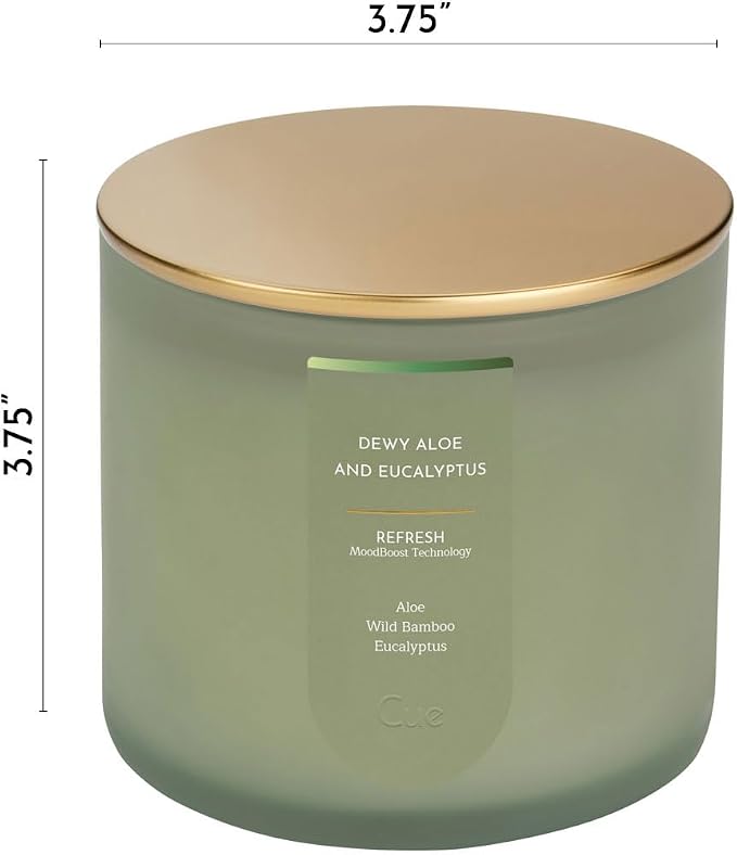 CUE Scented Candle |MoodBoost Essential Oils |OpenWick Clean Burning Candle | Soy Coconut Wax Blend | Candle for Home | Gift |Extended Burn Time (14oz, Dewy Aloe and Eucalyptus)
