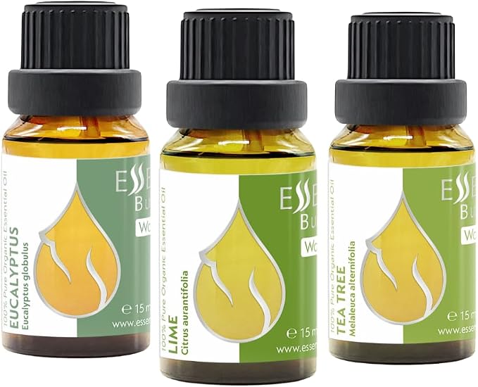 Set Morning Energy Organic Essential Oils | 1.52 Fl Oz | Lime + Tea Tree + Eucalyptus | 100% Pure and Natural | Undiluted | Therapeutic Grade | Non-GMO | (3 pcs x 15 ml)