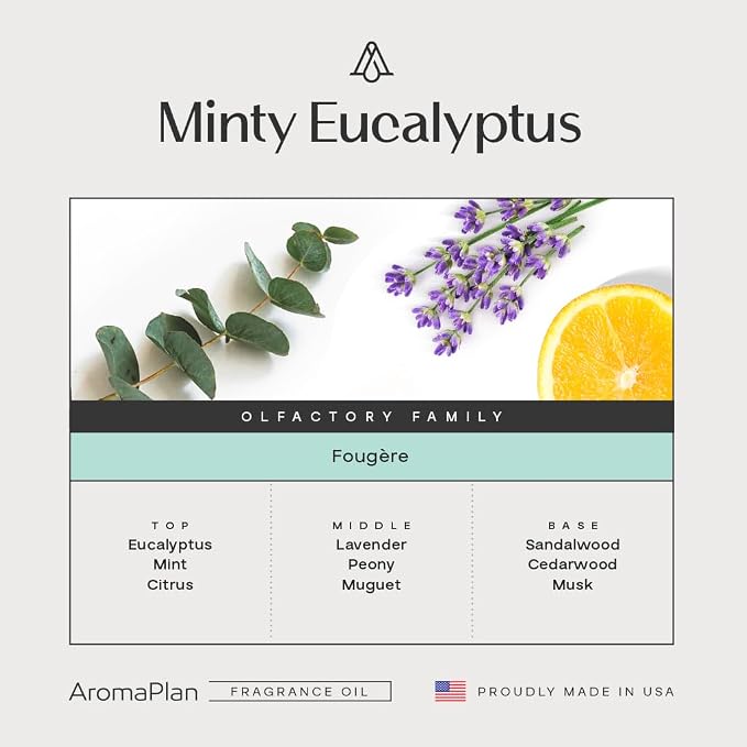 AromaPlan Hotel Scents Minty Eucalyptus 5.07 Fl Oz (150ml), Home Luxury Aroma & Hotel Fragrance Diffuser Oil Hotel Diffuser Oil for Aromatherapy USA Made, Bigger Bottle, Bolder Aroma & Longer Lasting
