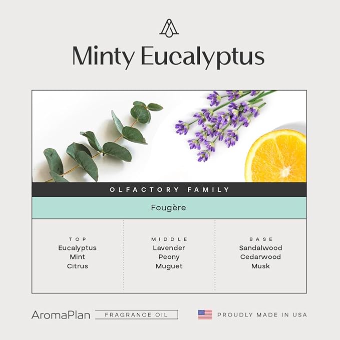 AromaPlan Hotel Scents Minty Eucalyptus 16 Fl Oz (473ml), Home Luxury Aroma & Hotel Diffuser Oil- Hotel Diffuser Oil for Aromatherapy- USA Made, Bigger Bottle, Bolder Aroma & Longer Lasting