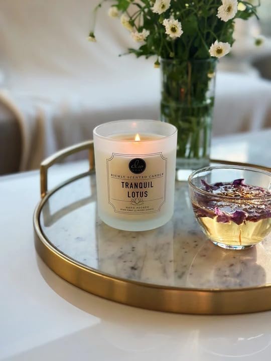 DW Home Tranquil Lotus Candle for Home, 9 oz, Medium Single Wick Candle Jar, Up to 33H Burn Time, Luxury Scented Candle for Relaxation, Gifting, Home Decor
