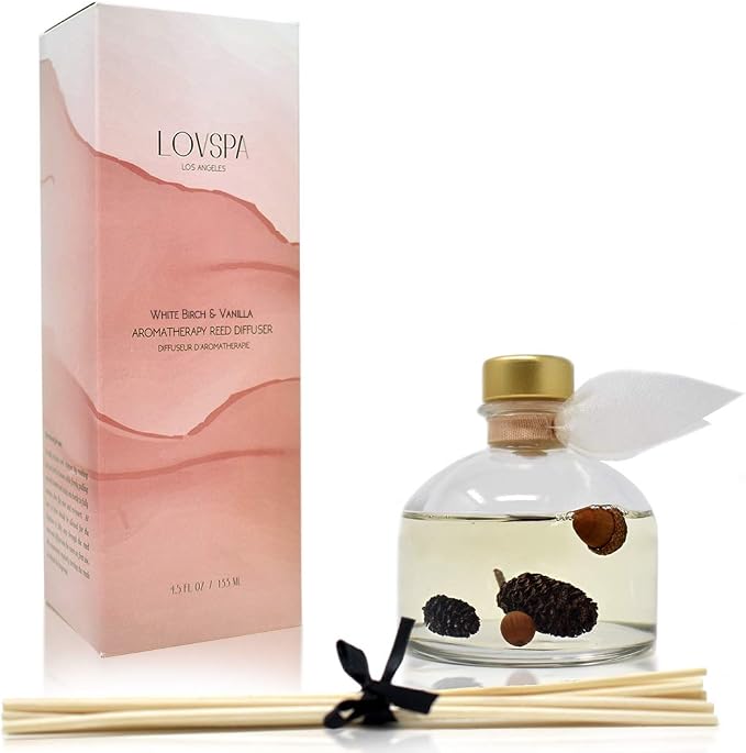 Reed Diffuser Set, White Birch & Vanilla Scented Oil Diffuser with Sticks, Home Fragrance Accessories for Bathroom Shelf Decor, Aroma Diffusers for Home or Office Fall Decor, USA Made