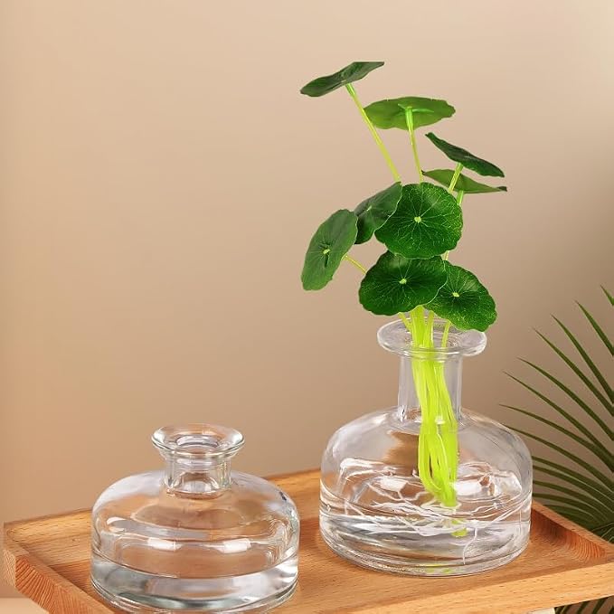 Clear Empty Glass Reed Diffuser Bottles,300ml Refillable Diffuser Bottle for Essential Oils,Aromatherapy Container for DIY Replacement Diffuser,Fragrance Decoration,Crafts Decor,Small Flower Vase