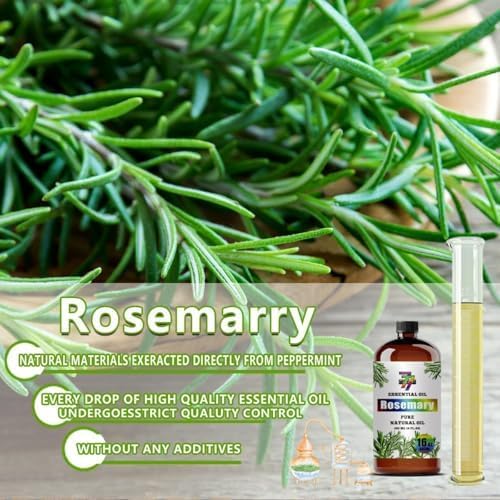 Rosemary Essential Oil, Rosemary Oils, for Diffuser, Office, Humidifier, DIY Candles, Soap, Cleaning, Home, Yoga, Gift, Essential Oil, GV77ZF Rosemary Fragrance Oil - 16 fl oz (480 ml)