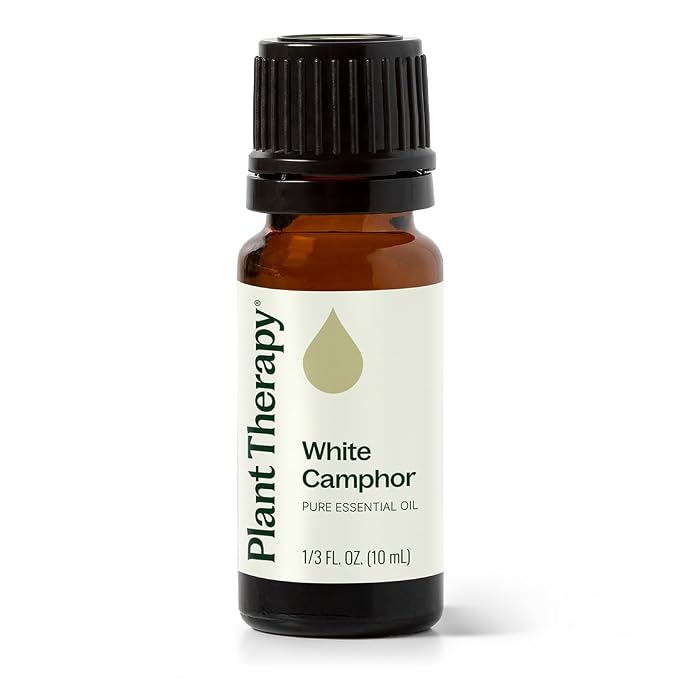 Plant Therapy White Camphor Essential Oil 10 mL (1/3 oz) 100% Pure, Undiluted, Natural Aromatherapy