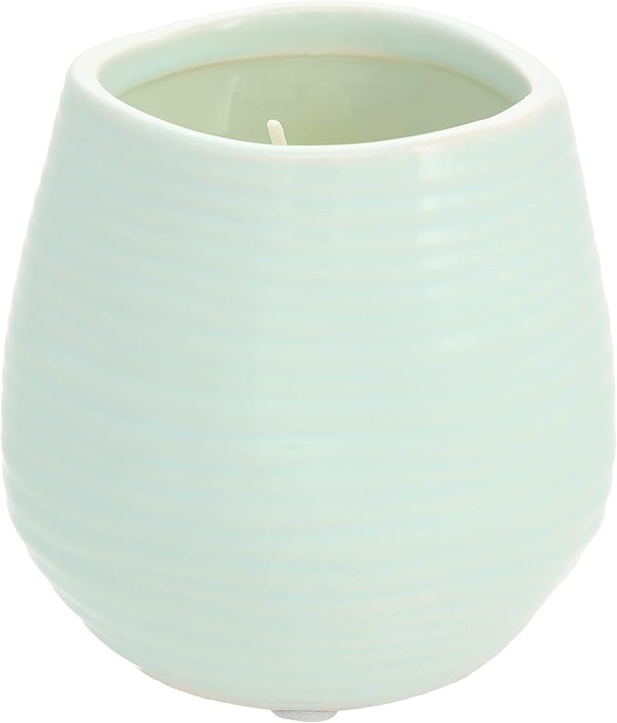 Pavilion Gift Company 77111 Plain Dandelion Wishes - Some See a Weed Some See a Wish Green Ceramic Soy Serenity Scented Candle, 8 oz