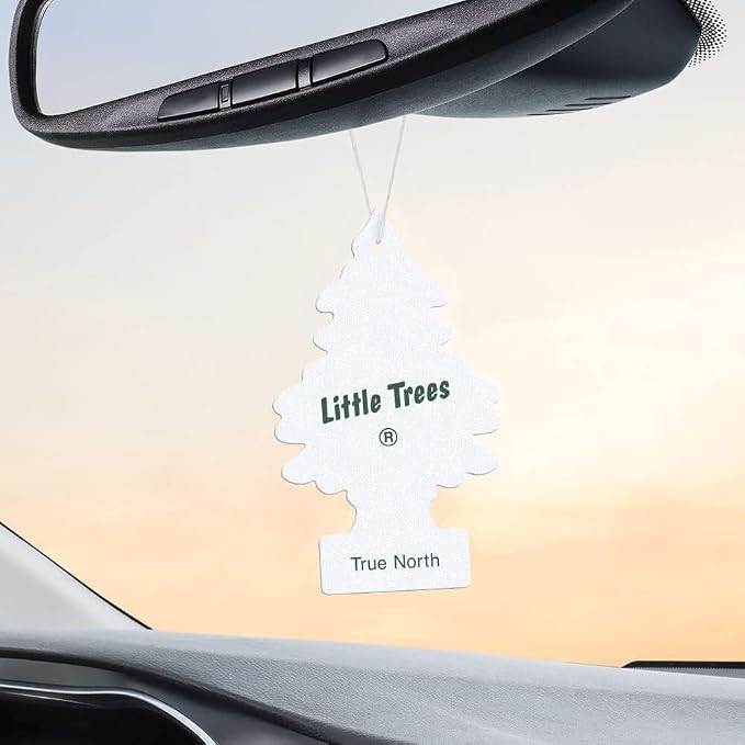 LITTLE TREES CAR FRESHNER U1P17146 Little Trees Air Fresheners, True North