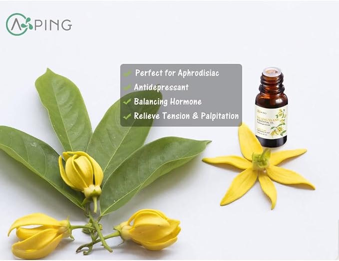 Ylang Ylang Essential Oil - 100% Pure Organic Natural Plant (Cananga odorata) Ylang Ylang Oil for Diffuser, Aroma, Spa, Massage, Yoga, Perfume, 0.33oz