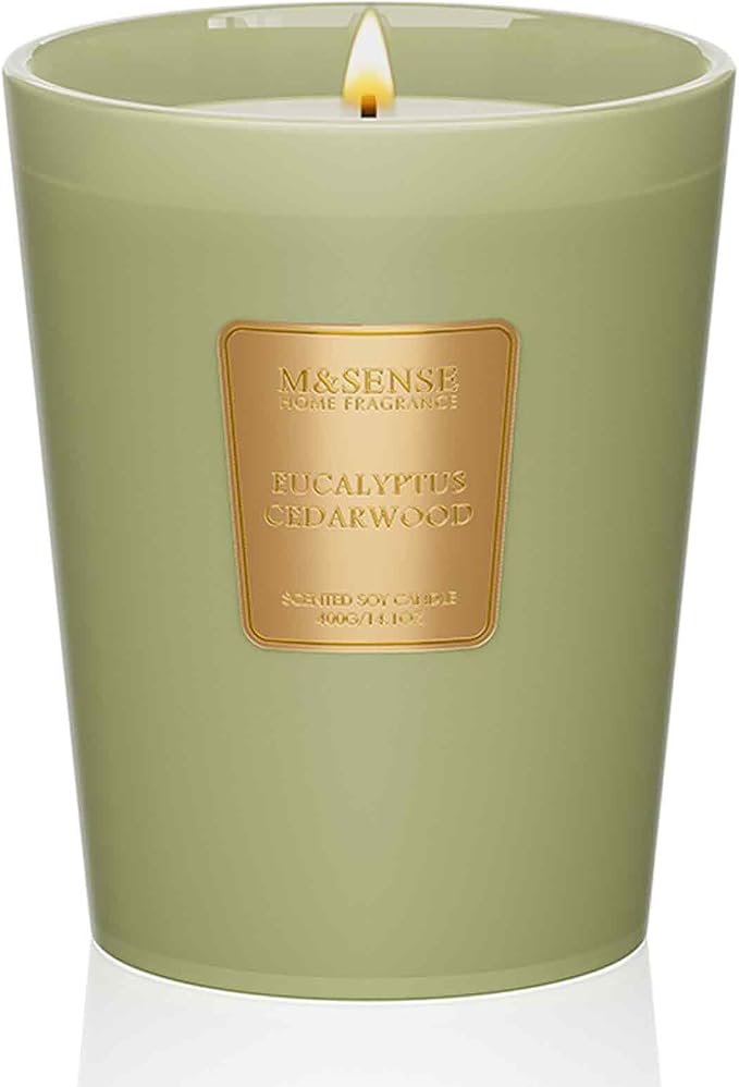 M&SENSE Eucalyptus Cedarwood Soy Candle, 14.1oz 60H Long Lasting, Aromatherapy Candle for Office Relaxation Home Decor Housewarming Gifts