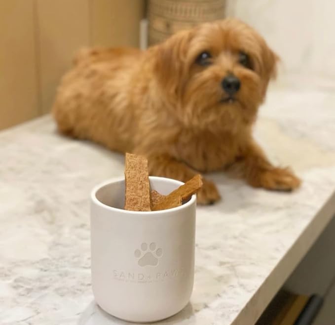 Sand + Paws Scented Candle - Pumpkin Spice - Additional Scents and Sizes –Luxurious Air Freshening Jar Candles Neutralize pet Odors and Enhance Home décor – 100% Cotton Lead-Free Wicks - 21 oz
