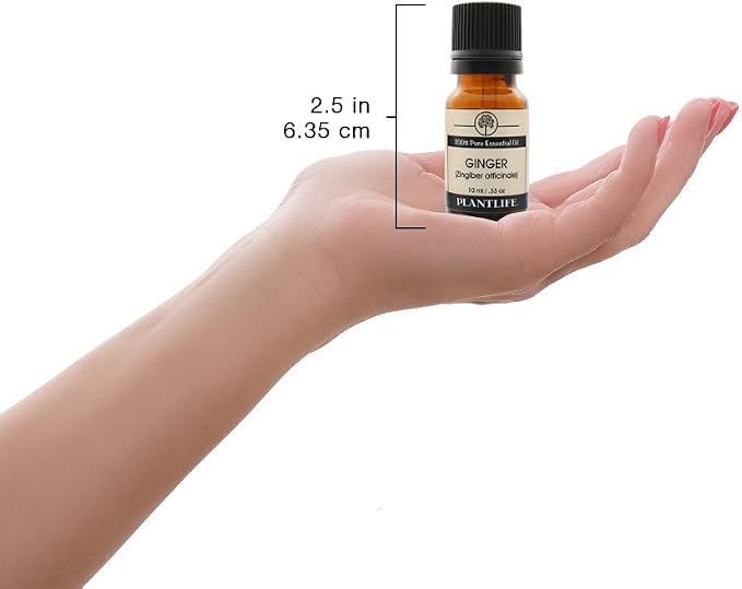 Plantlife Ginger Aromatherapy Essential Oil - Straight from The Plant 100% Pure Therapeutic Grade - No Additives or Fillers - 10 ml