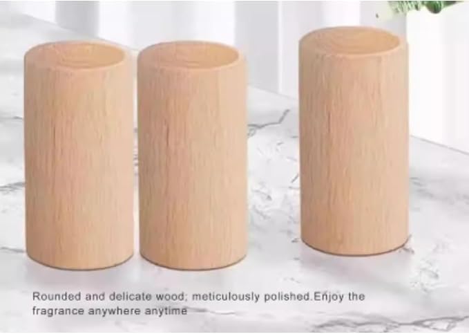 6 Counts Charcoal Wooden Diffuser, Best Hand-Crafted Wick Essential Oil Diffuser with Continuous Scent Release Closets Shoe Storage Cars and saunas