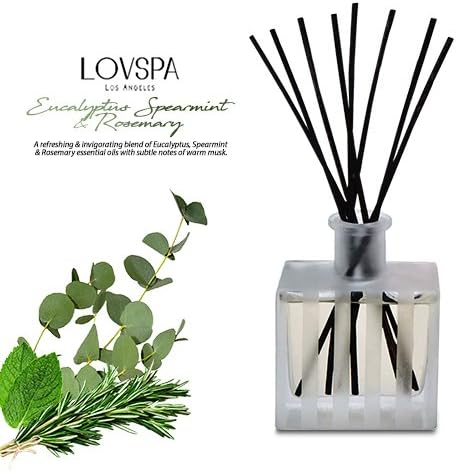 Reed Diffuser Set, Unwind Eucalyptus & Mint Scented Oil Diffuser with Sticks, Home Fragrance Accessories for Bathroom Shelf Decor, Aroma Diffusers for Home or Office Desk, USA Made