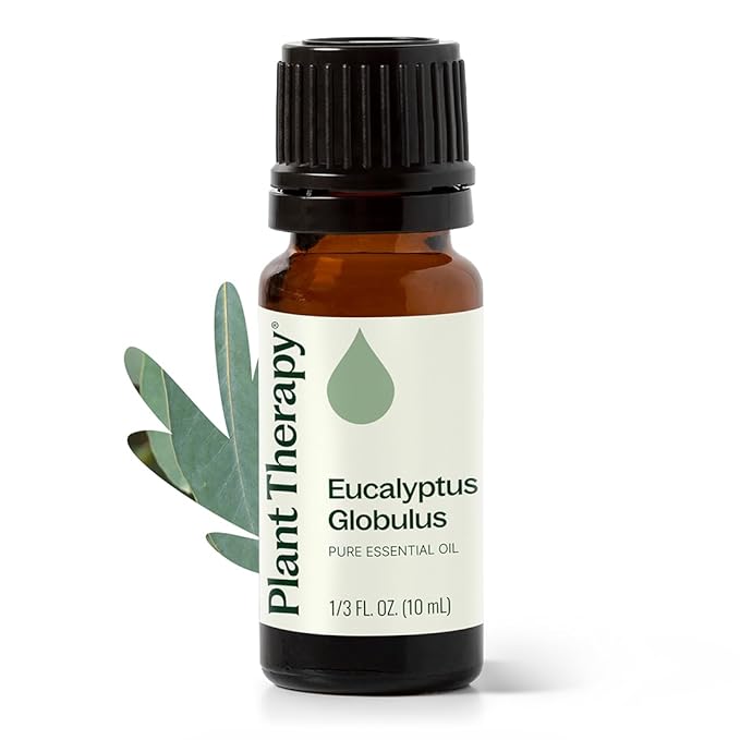 Plant Therapy Eucalyptus Globulus Essential Oil 10 mL (1/3 oz) 100% Pure, Undiluted for Diffuser, Skin, Hair, Aromatherapy DIYs, and Respiratory Support