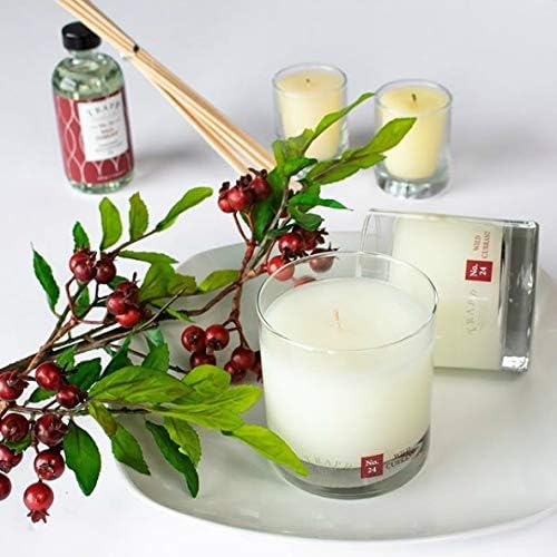 Trapp Signature Home Collection No. 24 Wild Currant Poured Scented Candle, 7-Ounce