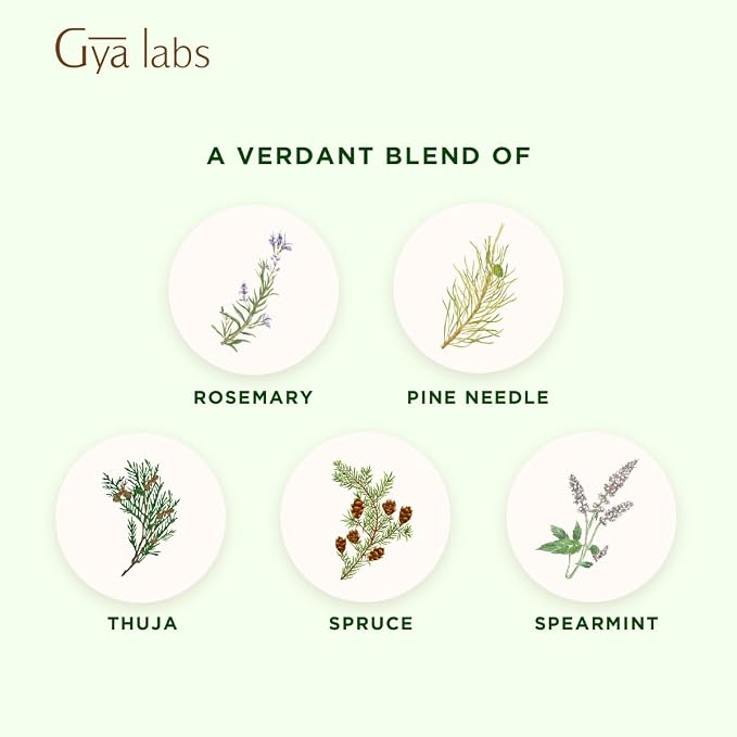 Gya Labs Frosty Forest Essential Oil Blend - Revitalizing & Invigorating (0.34 Fl Oz)