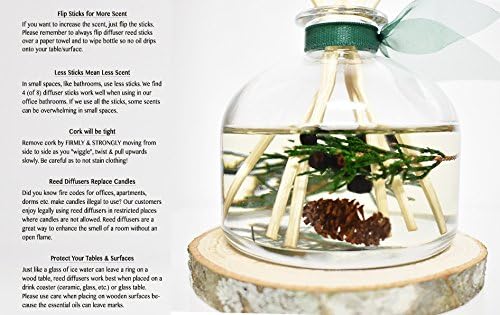 Reed Diffuser Set, Winter Forest Pine Scented Oil Diffuser with Sticks and Wooden Coaster, Bathroom Shelf Decor Made with Real Botanicals, USA Made