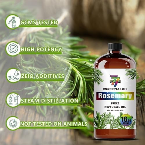 Rosemary Essential Oil, Rosemary Oils, for Diffuser, Office, Humidifier, DIY Candles, Soap, Cleaning, Home, Yoga, Gift, Essential Oil, GV77ZF Rosemary Fragrance Oil - 16 fl oz (480 ml)