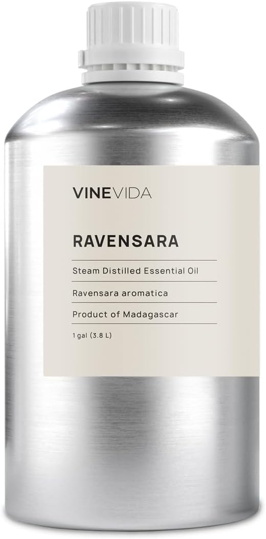 VINEVIDA Ravensara Essential Oil-Gallon Oil Undiluted-Bulk Gallon for Soap Making Safe Skin-DIY Candle Scents Candlemaking Scents-8 lbs (32GALV-OBP-RVN-SRA-GAL)