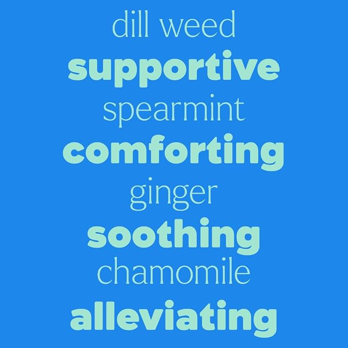 Plant Therapy Tummy All Better Roll-On 30 mL (1 oz) Pre-Diluted and Mess-Free for Easy Application, Supports a Healthy Digestive System, Soothes Stomach Cramps, Great for Travel-Related Queasiness
