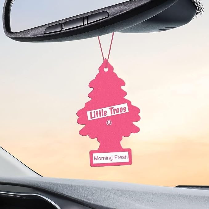 LITTLE TREES Car Air Freshener | Hanging Paper Tree for Home or Car | Morning Fresh | 3 Pack