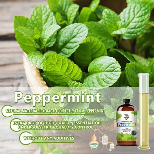 Peppermint Essential Oil, Peppermint Oils, for Diffuser, Humidifier, DIY Candles, Soap, Cleaning, Office, Yoga, Massage, Gift, Essential Oil, GV77ZF Peppermint Fragrance Oil - 16 fl oz (480 ml)