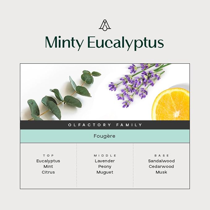 AromaPlan Hotel Scents Minty Eucalpyptus, 1.7 Fl Oz (50 ml)- Home Luxury Aroma & Hotel Fragrance Essential Oil- Hotel Essential Oil for Aromatherapy- USA Made, Bolder Aroma & Longer Lasting