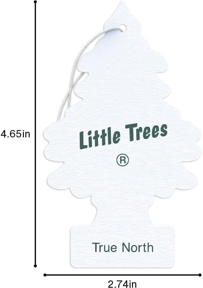Little Trees Air Fresheners, True North (Pack of 12)