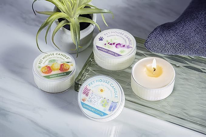 Pet House Mini Candles for Pet Odor Made with Natural Soy Wax, Plant Based, Dog and Cat Friendly Scented Candles, Watermelon Mojito Pack of 3