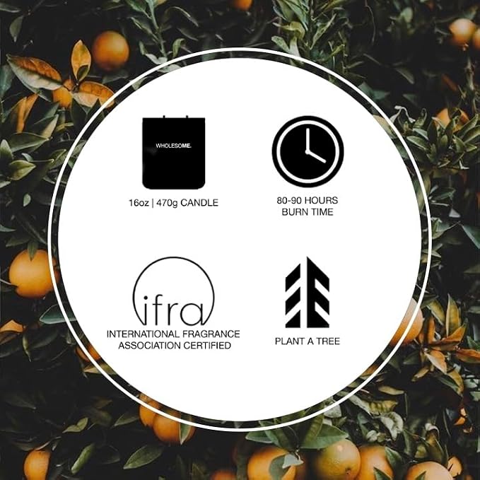 WHOLESOME. Orange Tangerine Scented Non-Toxic Candles for Home, 2 Wicks Natural Coconut Wax Candle Eco-Friendly, Luxury Aromatherapy Candles Stress Relief, 16 oz Large Concrete Jar, 90 Hours Burn